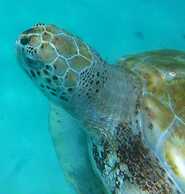 Paradise BDS - 3 B R Golf Villa at Rwml