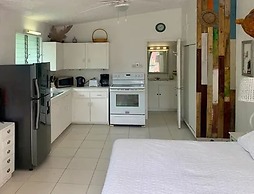 The Art Studio 12 Beachfront Apartment Barbados