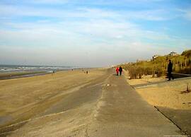 Flat in Blankenberge With Harbour Views