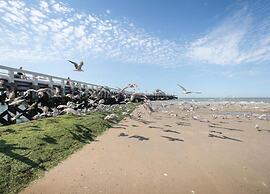 Apartment in Blankenberge With Marina View
