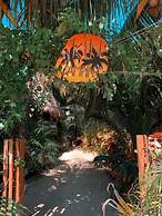 Kin Hostal and Camping