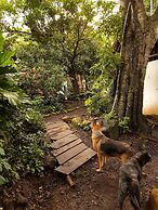 Cabañas El Bamboo