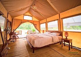 Cardamom Tented Camp
