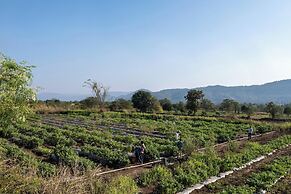 Amora A Boutique Resort