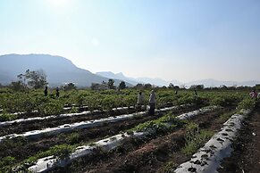 Amora A Boutique Resort