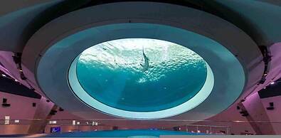 Miami Stay With Pool Luxury