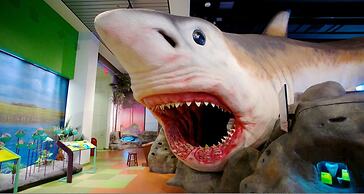 Beachfront Escape Pool Stunning Beach Views