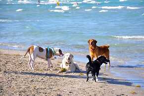 Beachside Bliss Lush Private Pool BBQ King Bed