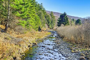 Mountain Views & Brook Access: Home in Arkville!