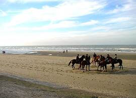 Studio in Blankenberge With Sea Views