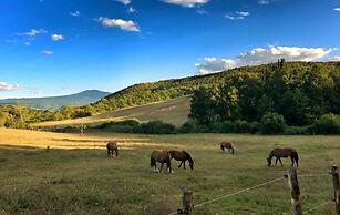 Agriturismo Piombaia