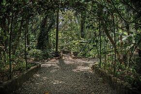 Vista Suites at Parador