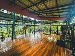 Selva Madre Eco Sanctuary