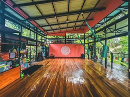 Selva Madre Eco Sanctuary