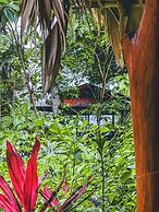 Selva Madre Eco Sanctuary