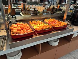 VISHAN Fashion Designer Trendy Residence