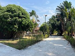 Mad Monkey Koh Sdach