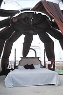 Regenta Evolife Dome City, Prayagraj.