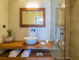 Villa With Views to Delos Island