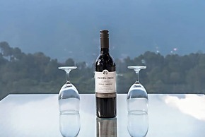 The Castle Villa Hill View kasauli