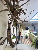 Maavaharu K.Himmafushi