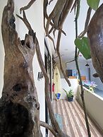 Maavaharu K.Himmafushi