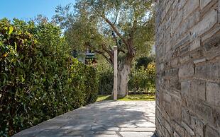 White House Villa Pefkochori