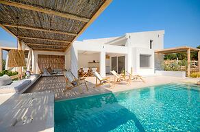 Aristi Villa Ena in Volvi