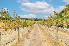 Romantic Vineyard Getaway in Oakland: Mtn Views!
