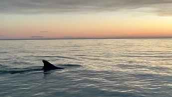 25840 Dolphin Way Of Hickory 204 2 Bedroom Condo