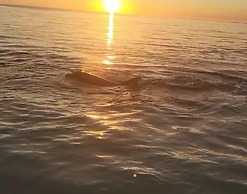 25840 Dolphin Way Of Hickory 204 2 Bedroom Condo