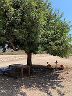 CT 354 AL - Casa Piedra