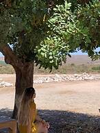 CT 354 AL - Casa Piedra