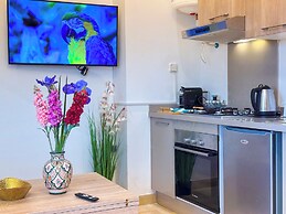 Luxury studio & Centric flat