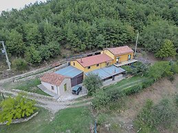 Launiur