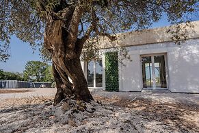 Dimora Tra Gli Ulivi