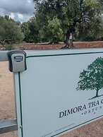 Dimora Tra Gli Ulivi