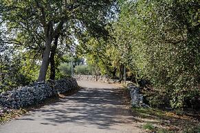 Dimora Tra Gli Ulivi