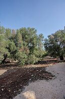 Dimora Tra Gli Ulivi