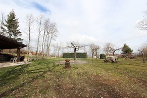 Giardino Boschivo