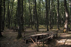 Giardino Boschivo