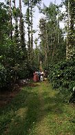 Heights Farm Stay - Coffee Estate Stay