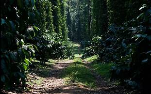 Heights Farm Stay - Coffee Estate Stay