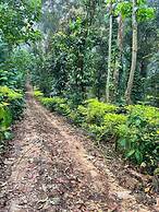 Heights Farm Stay - Coffee Estate Stay