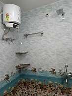 Hotel Shivanand By GRB