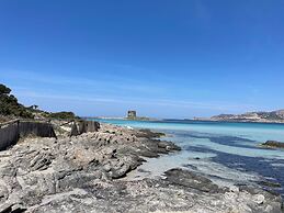 Moon Valley la pelosa