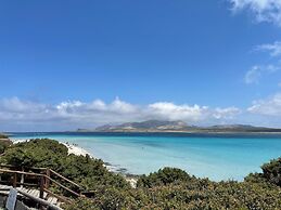 Moon Valley la pelosa