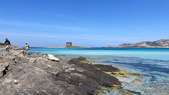 Moon Valley la pelosa