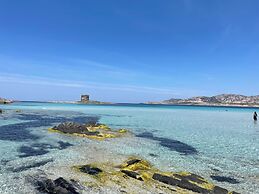 Moon Valley la pelosa