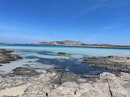 Moon Valley la pelosa